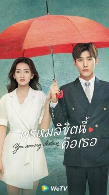 You Are My Destiny พรหมลิขิตนี้คือเธอ ซับไทย Ep.1-36 (จบ)