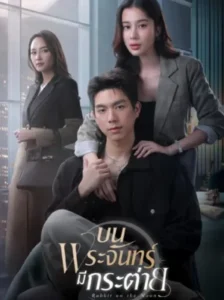 Rabbit on the Moon บนพระจันทร์มีกระต่าย Ep.1-16 (จบ)