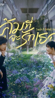 Such a Good Love (2025) คุ้มที่จะรักเธอ ซับไทย Ep.1-26 (จบ)