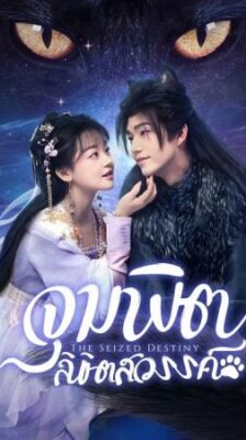 The Seized Destiny จุมพิตลิขิตสวรรค์ ซับไทย Ep.1-20 (จบ)